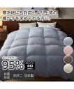 掛け布団 寝具 日本製 抗菌防臭 防ダニ羽毛 布団 ダックダウン95% 掛布団 アイボリー/ピンク/ブラウン/ブルーグレー シングル/ダブル ニッセン niss...
