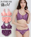 ブラジャー ショーツ セット レディース レース アップ デザイン 総 ブラショーツ 女性 インナー パンツ パンティ アンティークピンク/パープル A65_M...