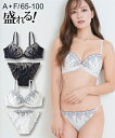 ブラジャー ショーツ セット レディース ボタニーク総 レース ブラショーツ 女性 インナー パンツ パンティ オフホワイト/ネイビー A65_M〜F100_5...
