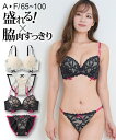 【店内全品対象★25%OFFクーポン配布中★先着1,500名限定 7/19 20時開始】ブラジャー ショーツ セット レディース 脇高プチリボン ブラショーツ 女性 インナー パンツ パンティ オフホワイト/ブラック A65_M~F100_5L ニッセン nissen