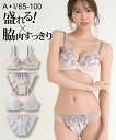 ブラジャー ショーツ セット レディース チュールペールフラワー刺しゅうソフトワイヤー ブラショーツ 女性 インナー パンツ パンティ サックス/ベージュ A6...