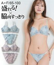 ブラジャー ショーツ セット レディース 脇高ピオニー風 レース ソフトワイヤー ブラショーツ 女性 インナー パンツ パンティ アイスサックス/ピンクベージュ...