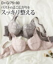 【店内全品対象★25%OFFクーポン配布中★先着1,500名限定 7/19 20時開始】ブラジャー レディース 脇高大人なくすみ カラー インナー 女性 チャコールブラウン/モカローズ D75~G90 ニッセン nissen