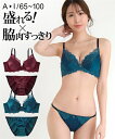 ブラジャー ショーツ セット レディース 脇高クラシカル レース ブラショーツ 女性 インナー パンツ パンティ グリーン/ボルドー A65_M〜F100_5L...
