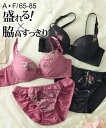 ブラショーツセット レディース 脇高エレガントフラワー ショーツ セット インナー 女性 ピンク/ブラック A70_M〜F85_LL ニッセン nissen