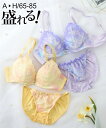 ブラショーツセット グラデアイビーブラジャーショーツセット ニッセン nissen