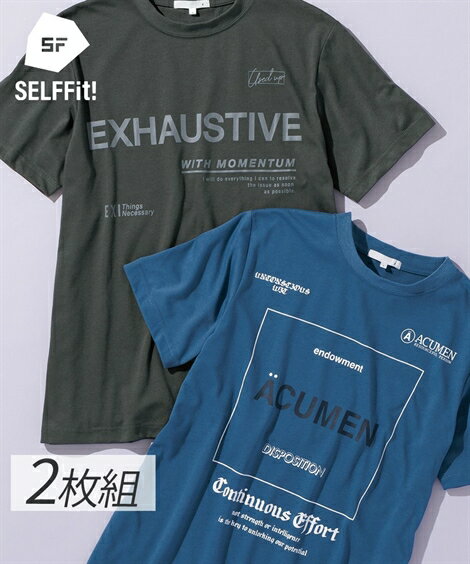 Tシャツ カットソー メンズ 半袖 プリント 2枚組 ビッグロゴ柄 有 トップス チャコール+ダークブルー M〜10L ニッセン nissen