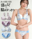 ブラショーツセット 脇高フラワーアーチブラジャーショーツセット ニッセン nissen