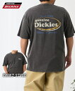 Tシャツ カットソー メンズ パウダーブリーチ加工 バック プリント 綿100% 半袖 GENUINE Dickies 夏 ビッグ ラージ トップス 28オフホワイト/48スミクロ 3L/4L/5L ニッセン nissen
