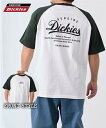 Tシャツ カットソー メンズ ラグラン バック 刺繍 半袖 GENUINE Dickies 夏 ビッグ ラージ トップス 19スミクロ×グレー/40グリーン×ホワイト 3L/4L/5L ニッセン nissen