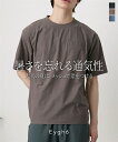 Tシャツ カットソー メンズ ドットメッシュ 半袖 クルーネックTシャツ 夏 トップス チャコール/モカ/ライトブルー | S/M/L/LL | ニッセン nissen