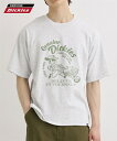 Tシャツ カットソー メンズ レトロ プリント 半袖 Tシャツジェニュインディッキーズ 夏 トップス 19アッシュグレー/65Dブルー | M/L/LL | ニッセン nissen