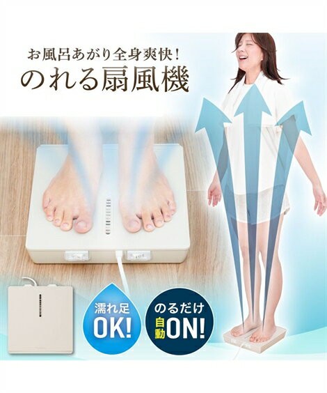 のれせん2 夏 ホワイト ニッセン nissen