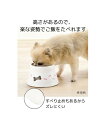 こぼれにくい脚付ディッシュ ドッグディッシュ S 春 夏 秋 冬 | Y | ニッセン nissen