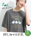 Tシャツ カットソー レディース 綿100% シマエナガ3体 プリント 夏 ダークグリーン/チャコール | LL/3L/4L | ニッセン nissen