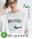 Tシャツ カットソー レディース 綿100% シマエナガカレッジロゴTシャツ 夏 オフホワイト/チャコール | LL/3L/4L | ニッセン nissen