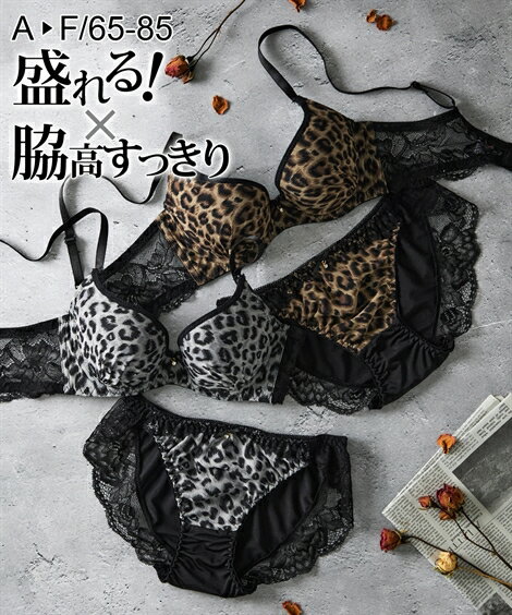 ブラジャー ショーツ セット レディース 脇高アニマル レース ブラショーツ 女性 インナー パンツ パン..