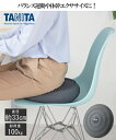 【店内全品対象★25%OFFクーポン配布中★先着1,500名限定 7/4 20時開始】TANITA バランス クッションタニタ 春 夏 秋 冬 グレー ニッセン...