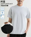 トップス Tシャツ カットソー メンズ 汗染み対策 衿高 ジャケット 吸水速乾 接触冷感 UVカット 夏 グレー/ホワイト ニッセン nissen