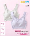 ノンワイヤーブラジャー レディース 部活ブラ マジカルフィット ハーフトップ ブラジャー ルシアン ノンワイヤー 女性 インナー グレー/シルキーラベンダー | S~M | ニッセン nissen