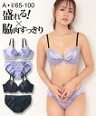【店内全品対象★25%OFFクーポン配布中★先着1,200名限定 8/4 20時開始】ブラショーツセット ブラジャー ショーツ セット レディース 脇高ドレッシ...