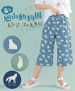 パンツ レディース さらっとひんやり5分丈 接触冷感 旭山動物園応援商品 夏 ズボン グリーン系 あざらし /ネイビー系 オオカミ /ブルーグレー系 しろくま | L~LL/3L~4L/5L~6L/8L/10L | ニッセン nissen