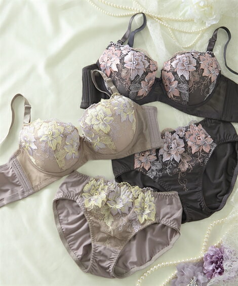 ブラジャー ショーツ セット レディース 大きい胸 脇高 エレガンス刺しゅう DEFカップ 春 夏 秋 冬 ブラショーツ 女性 インナー パンツ パンティ グレージュ/チャコール | D75_L～F90_3L | ニッセン nissen