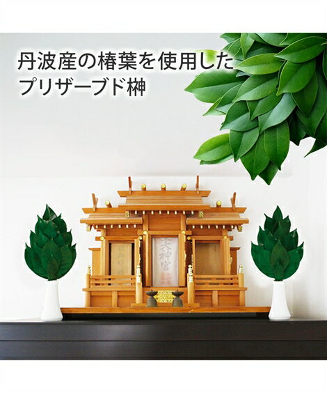 日本製 国産 枯れないプリザーブド榊 1対 春 夏 秋 冬 榊のみ 2本 /榊立付 榊2本、榊立2個 | Y | ニッセン nissen