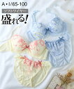 ブラショーツセット ブラジャー ショーツ セット レディース フラワー刺しゅうソフトワイヤー ブラショーツ 女性 インナー パンツ パンティ イエロー/サックス ニッセン nissen