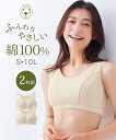 【店内全品対象★25%OFFクーポン配布中★先着1,500名限定 7/19 20時開始】ブラジャー ノンワイヤーブラジャー レディース 綿100% フライス ハーフトップ 2枚組 春 夏 秋 冬 ノンワイヤー 女性 インナー エクリュ2枚組 ニッセン nissen