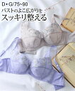 ブラジャー レディース 大きい胸 フルカップ すっきり整える 脇高 ローズ刺しゅう DEFGカップ 春 夏 秋 冬 インナー 女性 アッシュラベンダー/ライトグレー | D75~G90 | ニッセン nissen