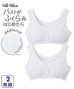 【2枚組】ハーフトップ ふわふわパッド 綿100% 白 無地 ソフトカップ 女の子 子供 ジュニア ブラジャー 子供下着 キッズ インナー 肌着 子ども スクー...