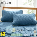 【まとめ買い10%OFFクーポン】吸汗速乾ドライニット枕パッド(同色2枚組)涼感 枕パッド まくら さらさら ドライ 汗取り オールシーズン 春 夏 秋 冬 新生活 快適 気持ちいい さらさら 梅雨 43×63cm用 ニッセン nissen