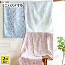《くらしにプラス最大400円OFF》女性にちょうどいい大きさのミニバスタオル 柄違い2枚セット タオル ミニバスタオル 北欧 ビックフェイスタオル ギフト 新生...