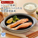 電子レンジで焼き目がつく! COPAN レンジグリル 食洗器対応 レシピ付き キッチン雑貨 レンジ調理器 時短 便利グッズ おしゃれ プレゼント 一人暮らし 新生活 nissen ニッセン