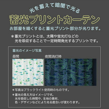 ニッセン nissen 【送料無料！】海のひみつ・蓄光・アレルGカーテン（ふしぎのくに）（幅150cm×長さ140〜190cm） カーテン 子供部屋 蓄光 オーダー 100サイズ 日本製 2枚組 洗濯可 送料無料 送料無料