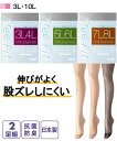 ストッキング・タイツ 3L 4L 大きいサイズ 抗菌防臭 伸びがいい パンティストッキング 2足組 ニッセン 女性 下着 レディース ストッキング 日本製 セット お買い得