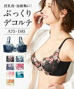 ブラジャー (A75-D85) 脇高 サイド すっきり 刺しゅう レース ブラジャー ニッセン 女性 レディース 脇肉 背肉 盛り 小胸 谷間 セクシー かわいい下着