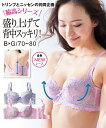 ブラジャー (B70-D80) 脇 背中 すっきり 盛り上げ ブラジャー (トリンプ) ニッセン 女性 下着 レディース 盛り 小胸 谷間 セクシー 脇高 ブラ かわいい下着