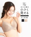 ブラジャー (G85-H95) 大きいサイズ 小胸メイクブラジャー チイサクシヤ ニッセン 女性 下着 レディース フルカップブラ 小さく見せる 脇高 脇肉 コンパクト