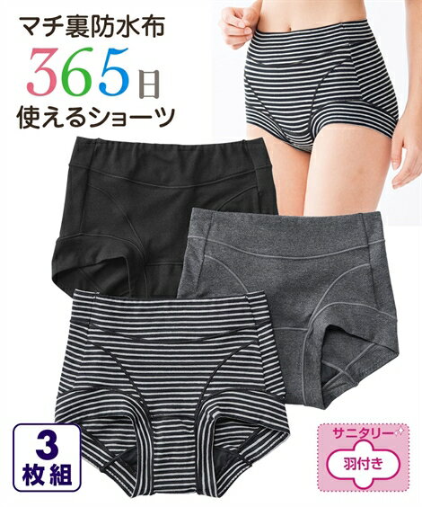 ショーツ M L 【365日使える】 綿混 ストレッチ お腹 脚口らくちん 深ばき サニタリーショーツ 昼用 3枚組 羽付ナプキン対応 ニッセン 生理 セット 深め