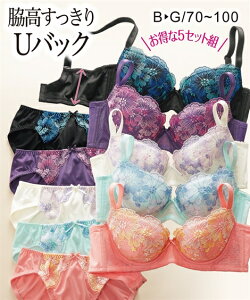 【送料無料】 ブラジャー ショーツセット (C85/L-D95/4L) 大きいサイズ 脇高すっきりUバックビッグフラワー刺しゅうブラショーツ5セット組 ニッセン 女性 下着 レディース 福袋