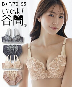 ブラジャー＆ショーツセット ニッセン 大きいサイズ いでよ 谷間 ブラジャー ショーツセット フロラシオンレース 女性 下着 レディース ブラショーツ 小胸 (E85/LL-F95/3L)