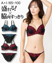 ブラジャー＆ショーツセット ニッセン 脇高 クラシカルフラワー 刺しゅう ブラジャー ショーツセット 女性 下着 レディース ブラショーツ セクシー 小胸 谷間 (E70/M-F80/L)