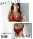 ブラジャー＆ショーツセット ニッセン フルカップ風 ブラジャー ショーツセット 女性 下着 レディース ブラショーツ 盛り 小胸 谷間 セクシー モールドカップ (A65/M-D80/L)