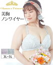 ブラジャー ニッセン 大きいサイズ グラマープリンセス 美胸 ノンワイヤー 女性 下着 レディース ブラジャー ノンワイヤーブラ レース 3L 4L 5L