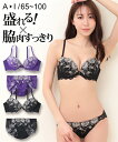 ブラジャー＆ショーツセット ニッセン 大きいサイズ 脇高 ローズ 刺しゅう ブラジャー ショーツ セット 女性 下着 レディース ブラショーツ セクシー (B85/LL-F100/5L)