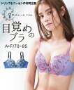 ブラジャー ニッセン 目覚めの ノンワイヤー ブラジャー ( トリンプ ) 女性 下着 レディース ノンワイヤーブラ 楽 かわいい下着 ブラ (A70-D85)