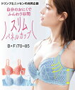 ブラジャー ニッセン スリムパネルカップさらりとスッキリ ブラジャー ( トリンプ ) 女性 下着 レディース ブラジャー 盛る 小胸 谷間 接触冷感 (B70-D85)