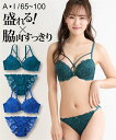 ブラジャー＆ショーツセット ニッセン 大きいサイズ 脇高 ストリング 総レース ブラジャー ショーツ セット 女性 下着 レディース ブラショーツ セット (B85/LL-F100/5L)